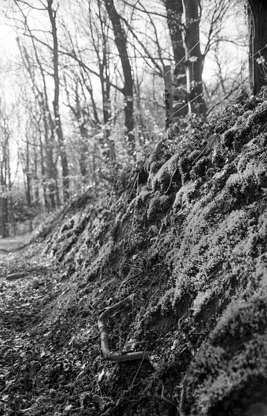 Mousse par bent vanwynsberghe