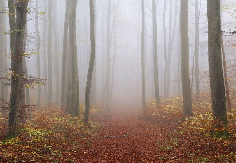 Der Weg in das Unbekannte von Anselm Ziegler Photography