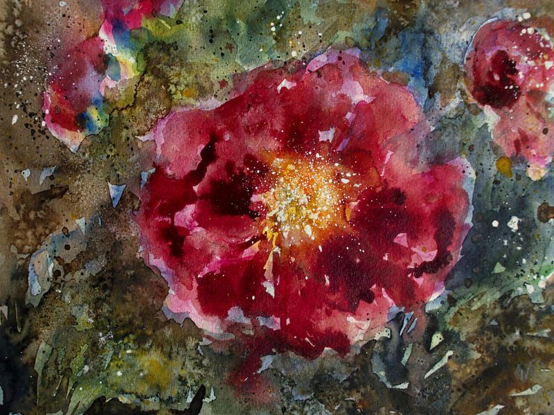 Heckenrose von Christine Nöhmeier