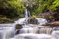 McLean Falls, Nieuw Zeeland