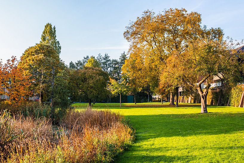 Herbstlandschaft von Thomas van der Willik