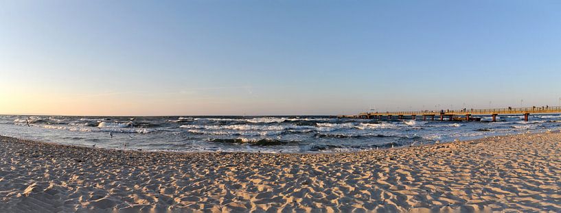 Meeuwen op het noordelijk strand in Göhren, eiland Rügen van GH Foto & Artdesign