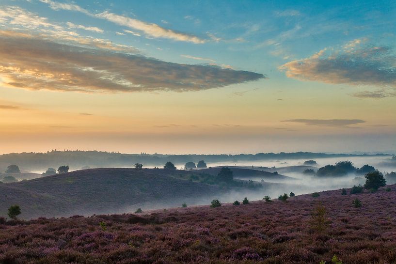 Posbank - Nederland par Roy Poots