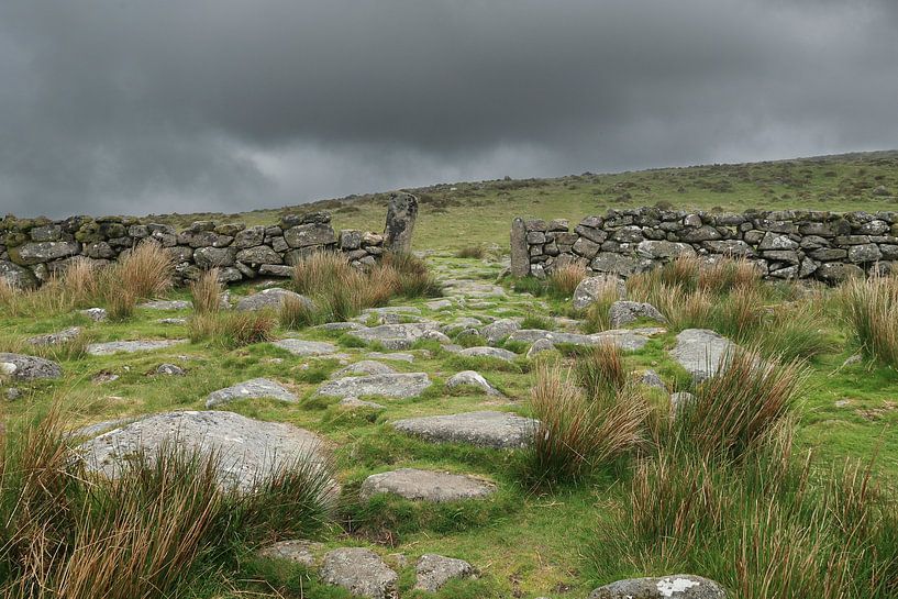 Dartmoor landschap / Dartmoor landscape von Elles Rijsdijk