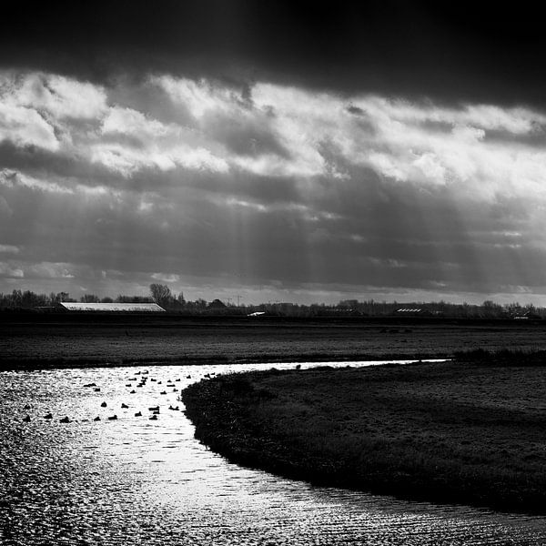 Wind and winter in waterland by Rene  den Engelsman