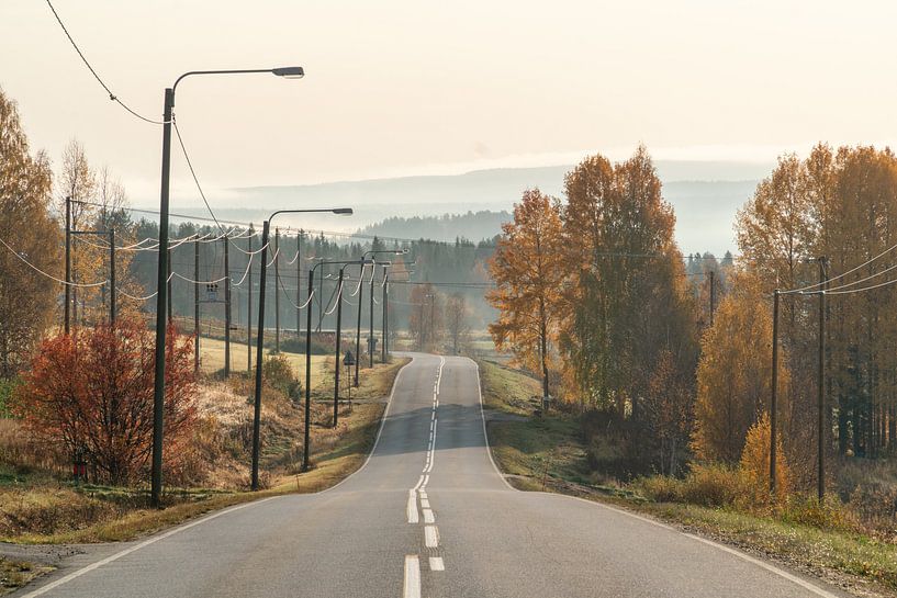 Empty road through autumn landscape. by Axel Weidner