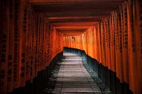 Torii of Fushimi Inari Taisha