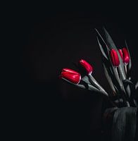 Tulpen