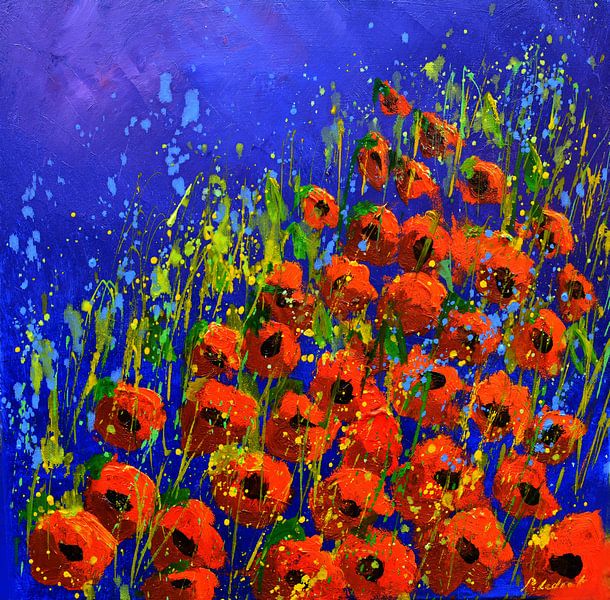 Mohnblumen von pol ledent