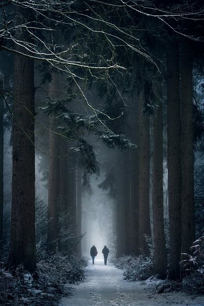 Viens avec moi. par Inge Bovens