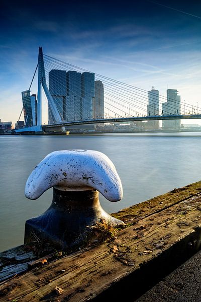 La ligne d'horizon de Rotterdam le long de la Meuse, avec le caractéristique pont Erasmus et l'archi par gaps photography