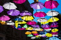 Colourful umbrellas in Provence