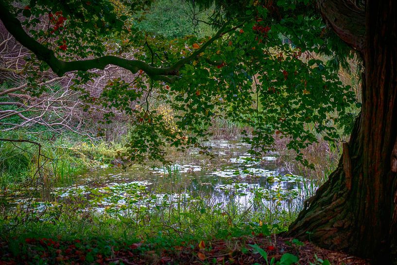 Rest by Jan Bensliman