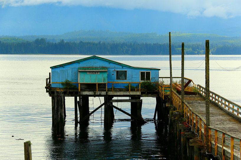 Alert Bay - Vancouver Island von Lynxs Photography