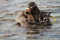 Liefde tussen mens en dier