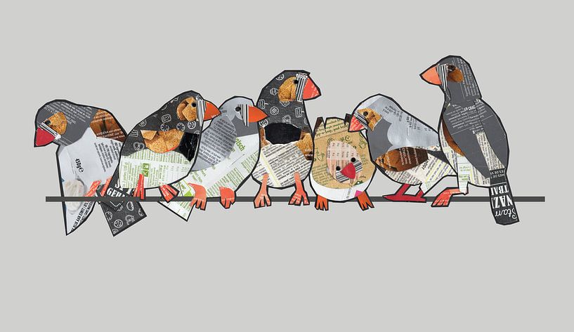 Sieben Zebrafinken von Ruud van Koningsbrugge