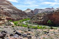 Roadtrip bij Capitol Reef Nationaal Park in Amerika