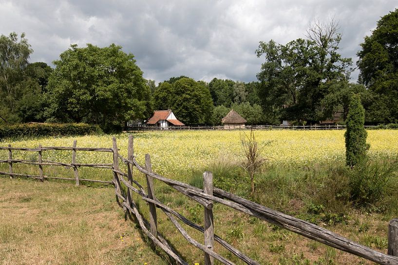 malerisches Foto einer Landschaft mit gelber Wiese von W J Kok