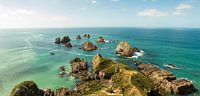 Nugget Point Nouvelle-Zélande