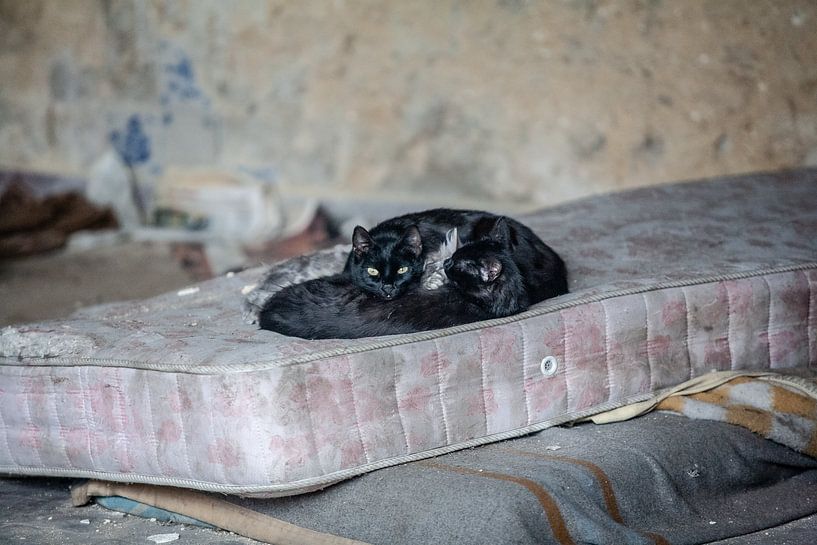 Lisbon by Eric van Nieuwland