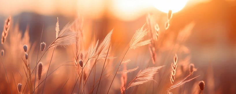 Impressions de la nature par Treechild