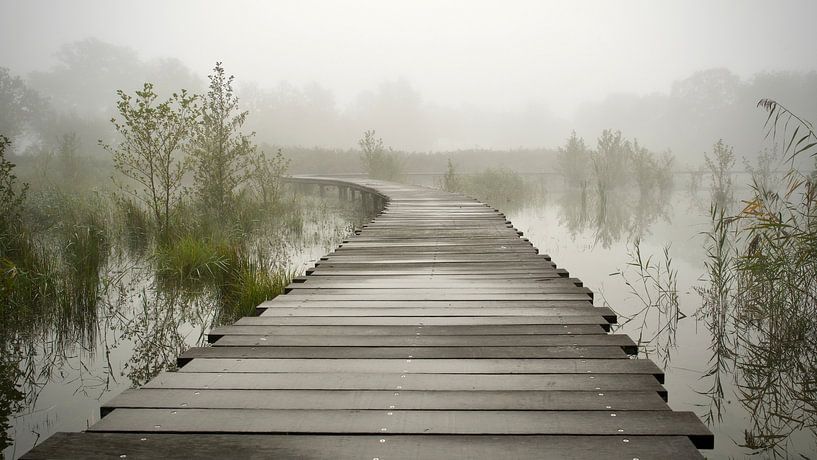 Calme par Michiel kijkt!