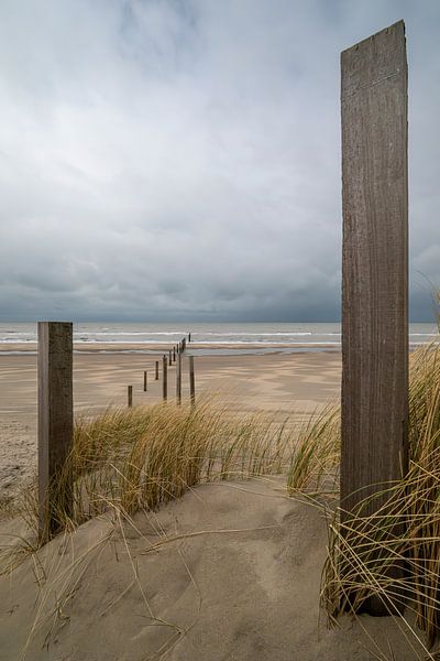 Réserve naturelle de Noortvoort par Peter Bartelings