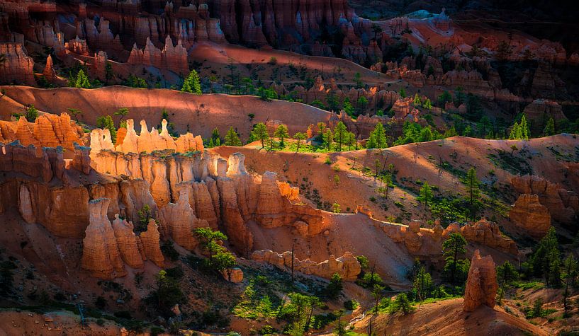 1142 Bryce par Adrien Hendrickx