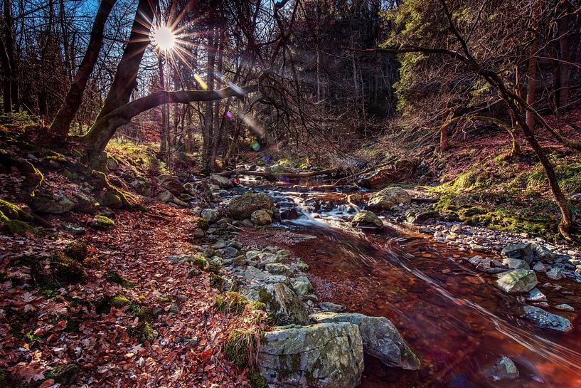 Gebirgsfluss La Hoëgne von Rob Boon