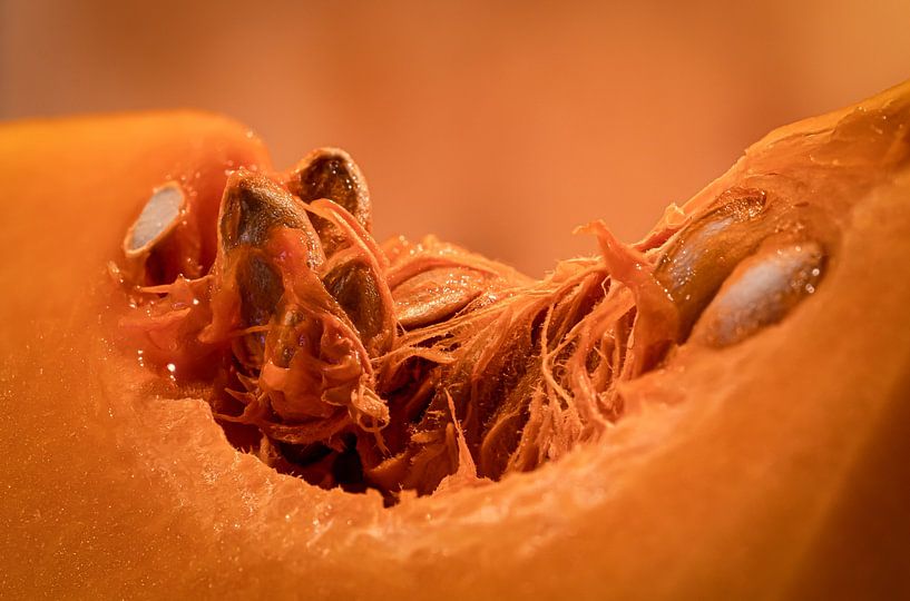 Orange von Irene Ruysch fotografie