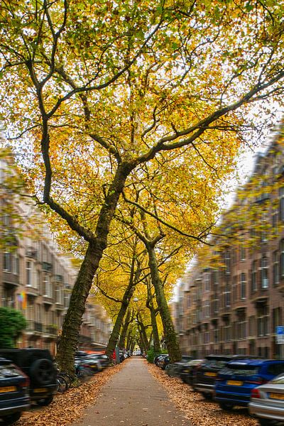 No ordinary Amsterdam street by Peter Bartelings