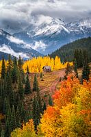Saisonale Ausdauer - San Juan Mountains im Herbst