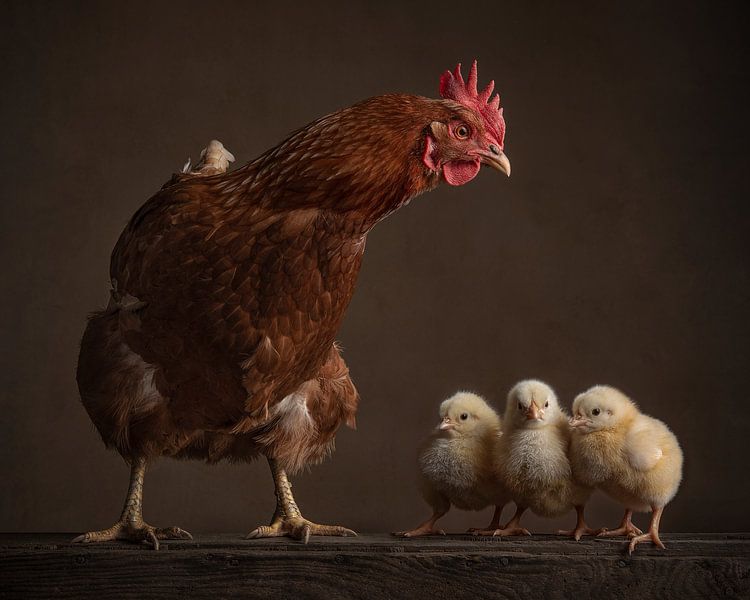 Mutter Henne von Elles Rijsdijk