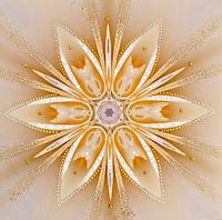 "Be your own Star" mandala