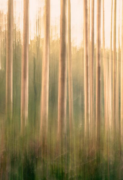 Duno estate part 22 by Tania Perneel