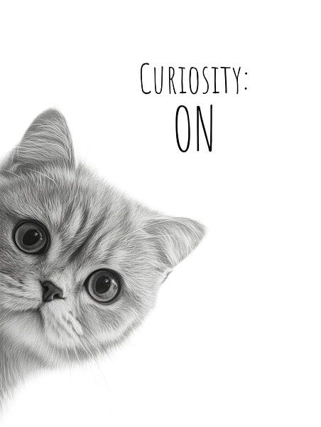 Cool Cat in curiosity mode by Melanie Viola