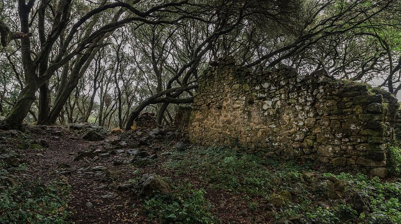 Ruinen in Asturien von Rogier Muller