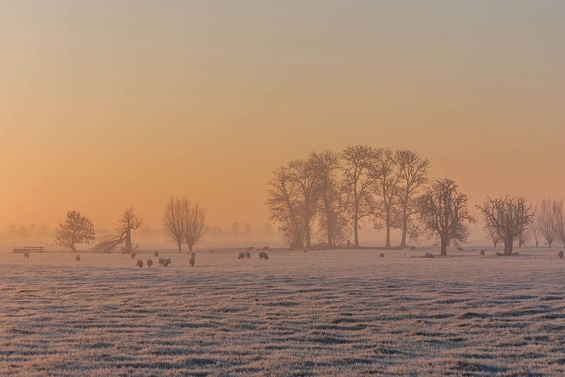 Zonsopkomst in de winter von Stephan Neven