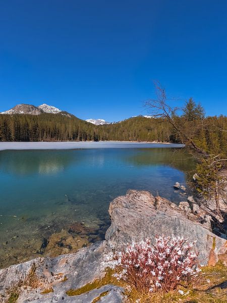Bergsee Idylle - bergmeer idylle - idylle de lac du montagne par Christina Bauer Photos