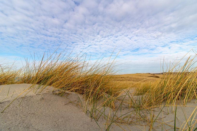 Duinen op Texel met dreigende wolken by Jeroen van Dijk