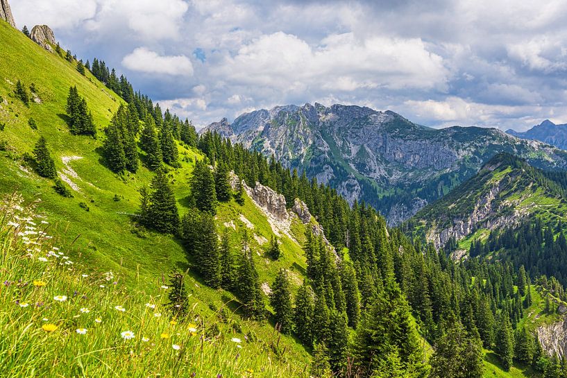 Blick vom Tegelberg bei Schwangau auf die Alpen von Rico Ködder
