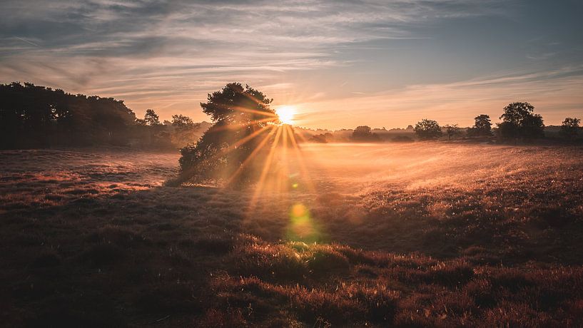West Rupean Heath by Steffen Peters