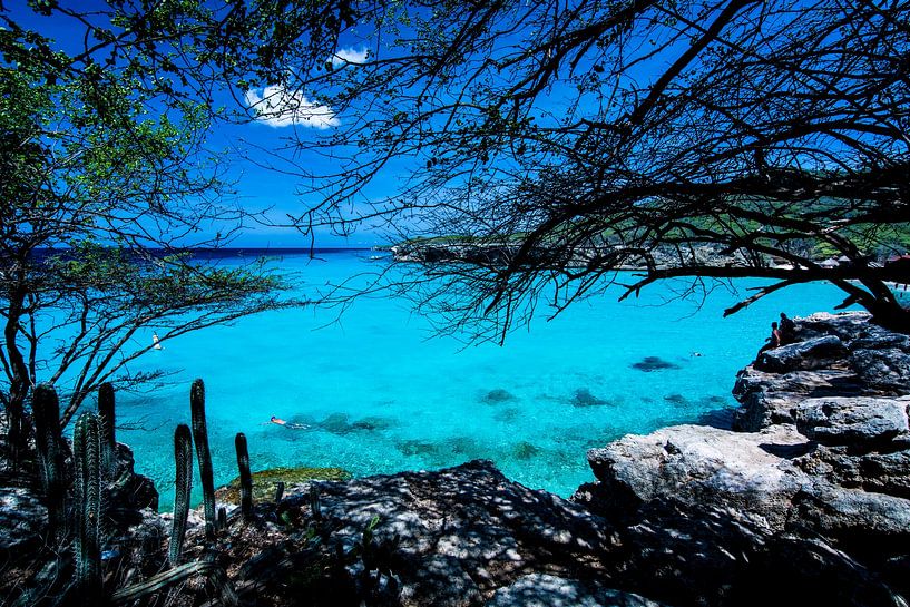 Blau von Vivian Paola Kamphuis