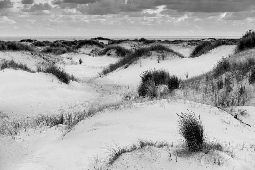 White dunes Texel by Harald Harms