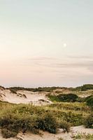Moon in the Kennemer Dunes