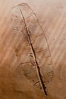 Terrakotta-Wand mit Blattform