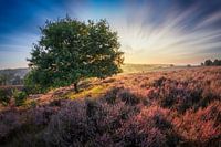 Posbank in de ochtend - part 2