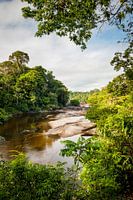 View of the Suriname river at Awarradam, Suriname