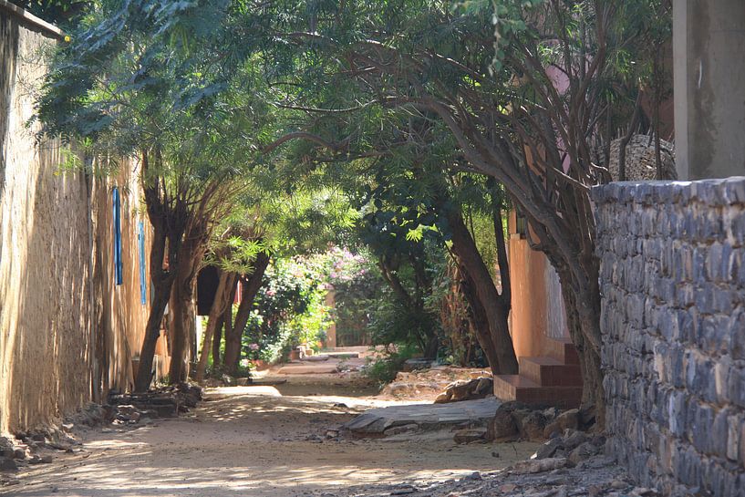 Straat op Île de Gorée von Mr Greybeard