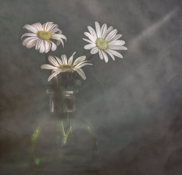 Un peu de lumière dans les jours sombres par Marie Stas